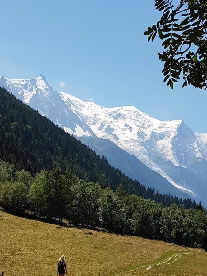 Appartement typique,chaleureux et pratique Chamonix Extérieur photo