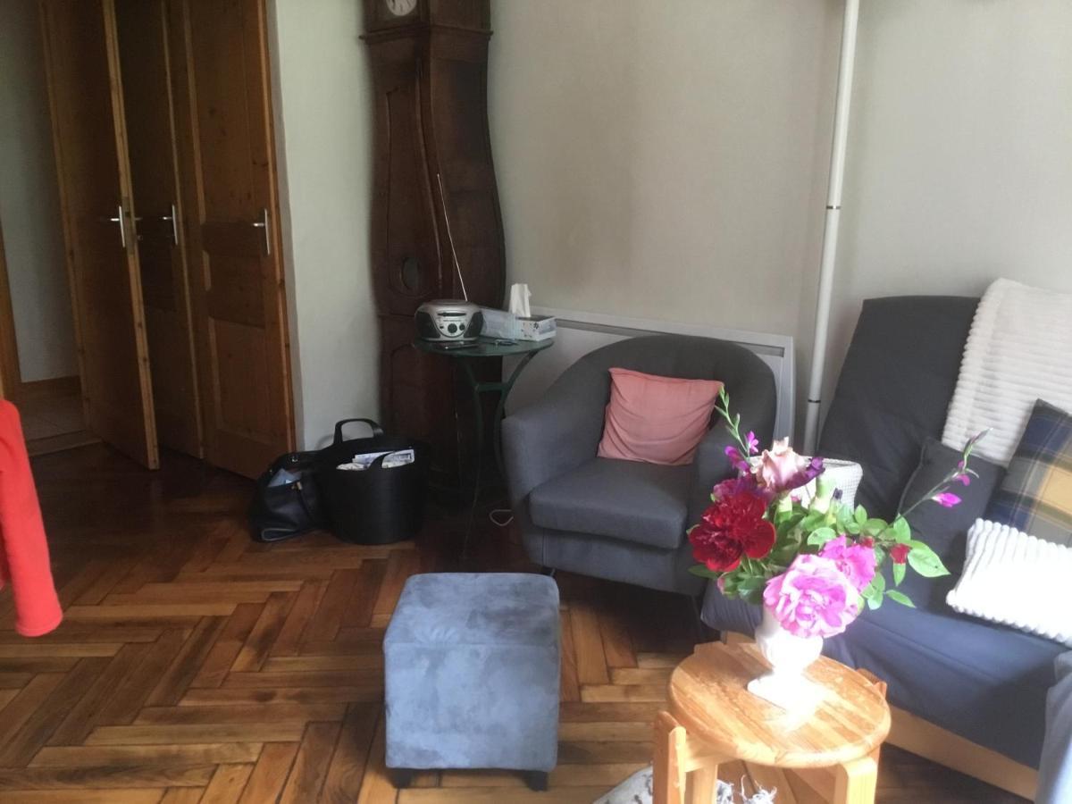 Appartement typique,chaleureux et pratique Chamonix Extérieur photo